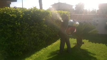 disinfestazione