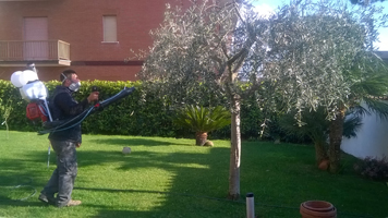 disinfestazione_1